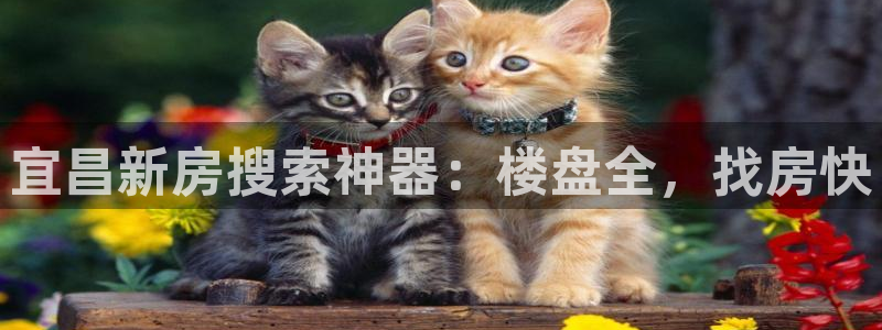 永利网是不是真的