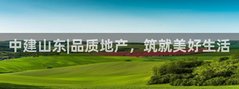 浙江永利集团董事长