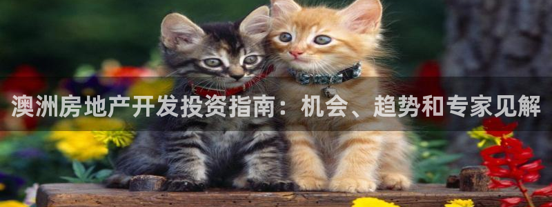 永利家具厂怎么样