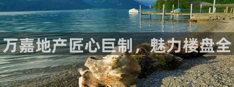 永利皮带报价