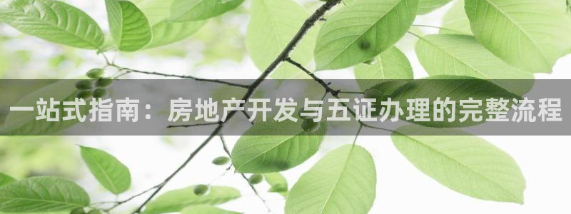 永利传送带业务