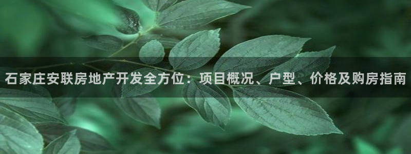 永利集团简介及地址
