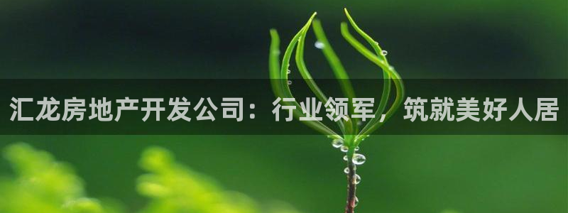 永利纺织有限公司