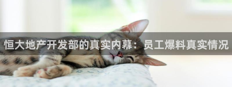 永利官方旗舰店