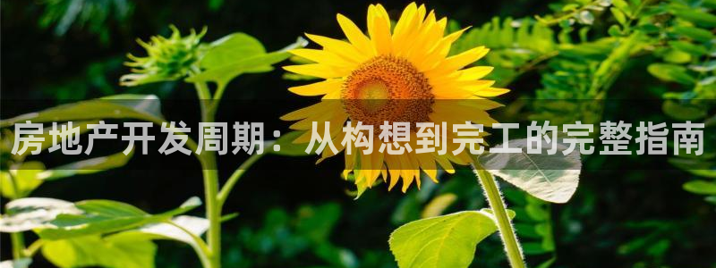 永利被黑不给出款解决方法