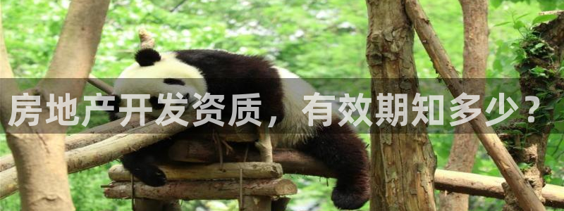永利工业制带