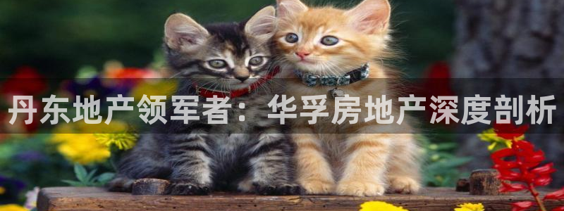 永利餐饮管理有限公司