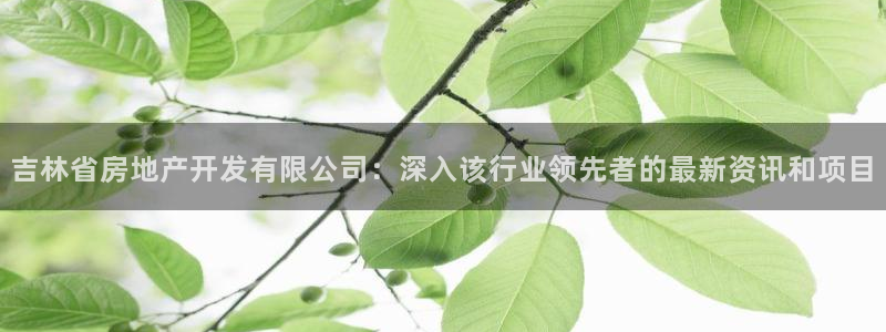 永利链条
