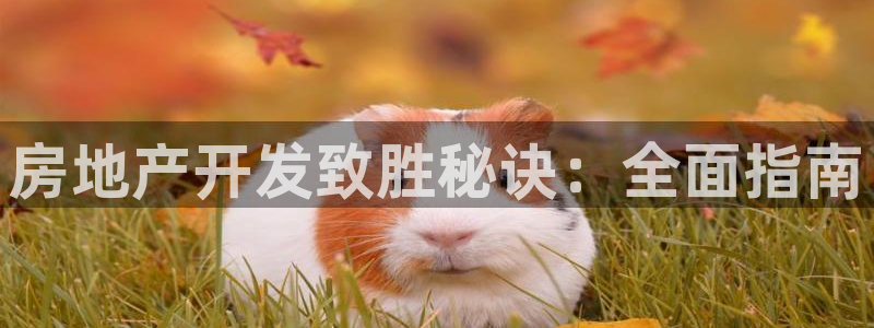 永利玩具厂怎么样