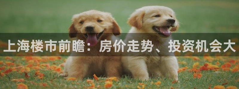 永利集团简介