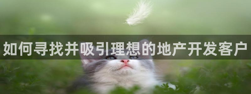 永利汇茶具有限公司