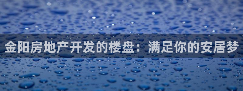 永利地产工程有限公司