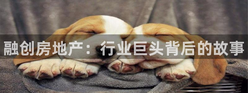 永利建筑材料有限责任公司