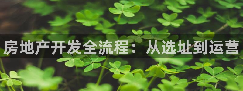 永利输送带