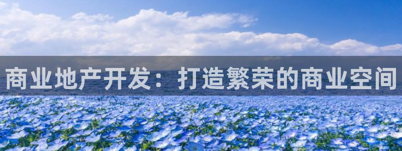 永利的老板是谁