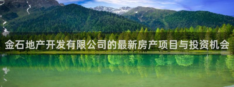 永利集团304am官方入口