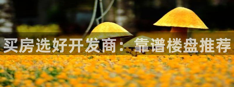 永利公司是做什么的