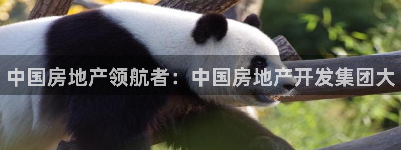 永利网9900777公司的地址