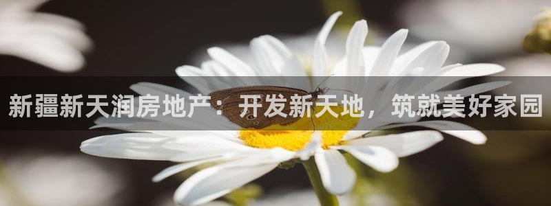 永利官方网招聘最新消息查询