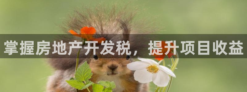 永利官网查询
