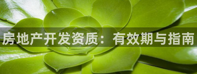 永利中国东北菜
