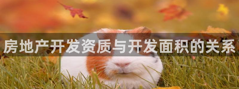永利玩具厂怎么样