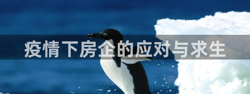 鄂州永利房地产怎么样