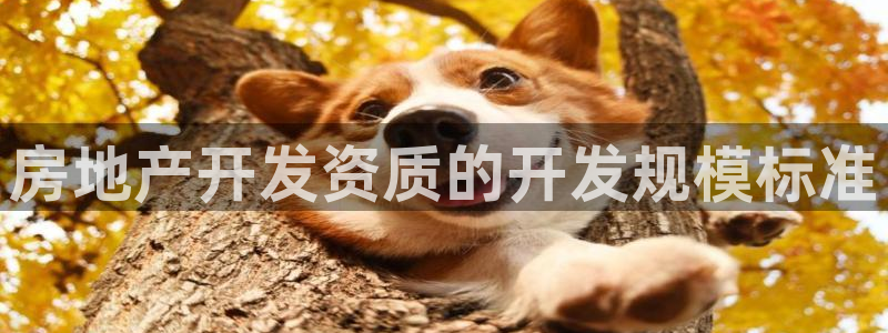 永利工艺品有限公司
