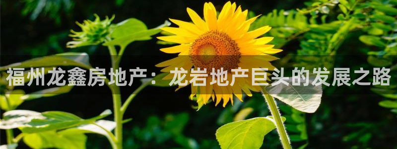 永利股份产品介绍
