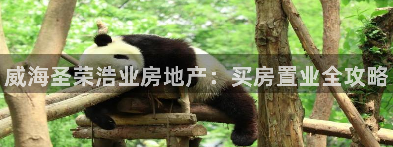 永利网是受国家法律保护吗