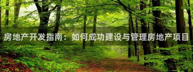 永利bet