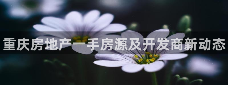 永利酒店管理有限公司