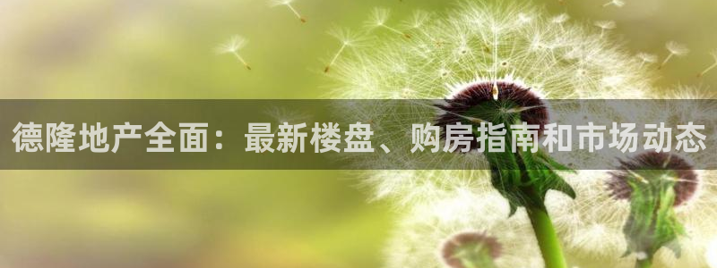 永利的老板是谁