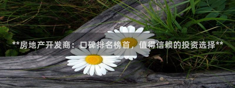 永利置业