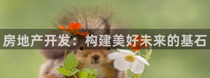 永利赚钱
