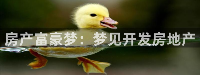 永利创始人