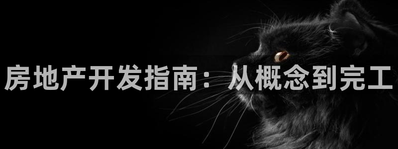 永利玩具厂怎么样