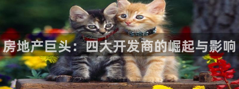 永利制带有限公司