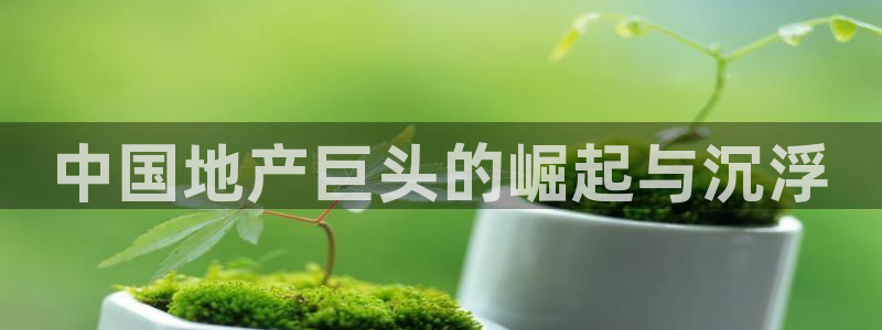 忘了永利集团的网址了