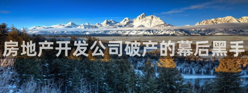 永利官网中文