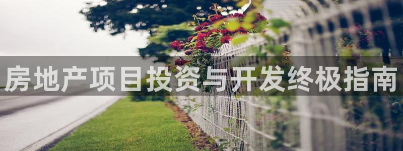永利背一分