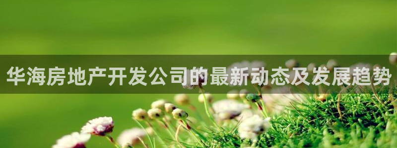永利汇茶具官网