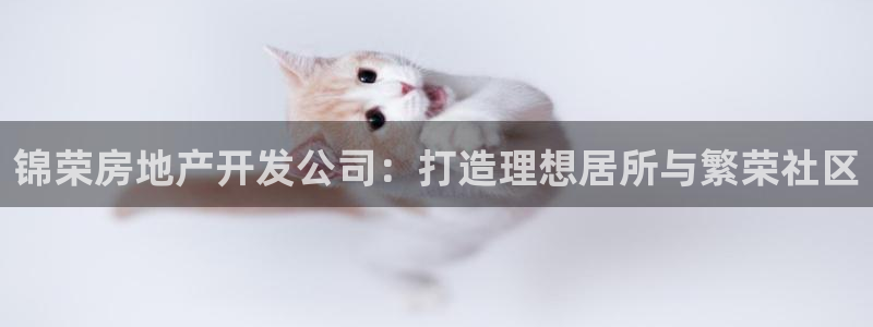 永利表行为什么那么便宜