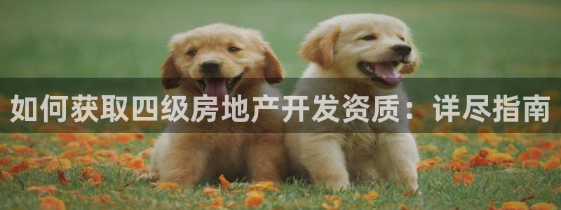 永利集团简介概况