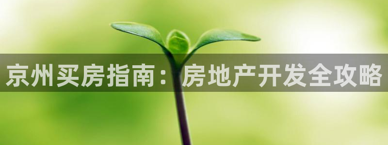 永利不给提款怎么办?