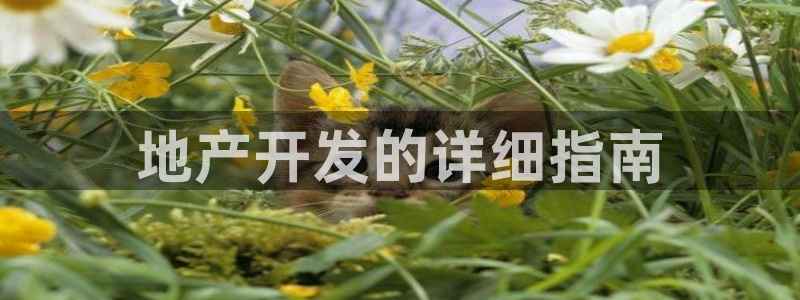 山东永利新材料