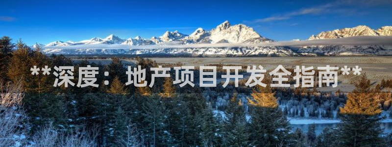永利制带