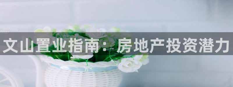 永利老板的名字叫什么名字