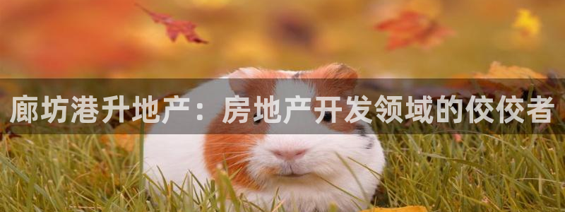 永利金控控股有限公司
