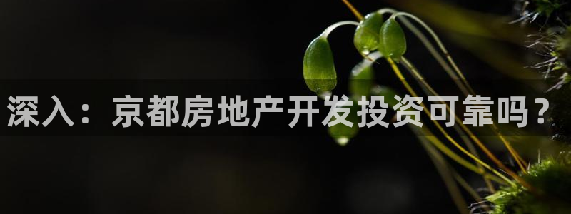 澳门永利图片夜景